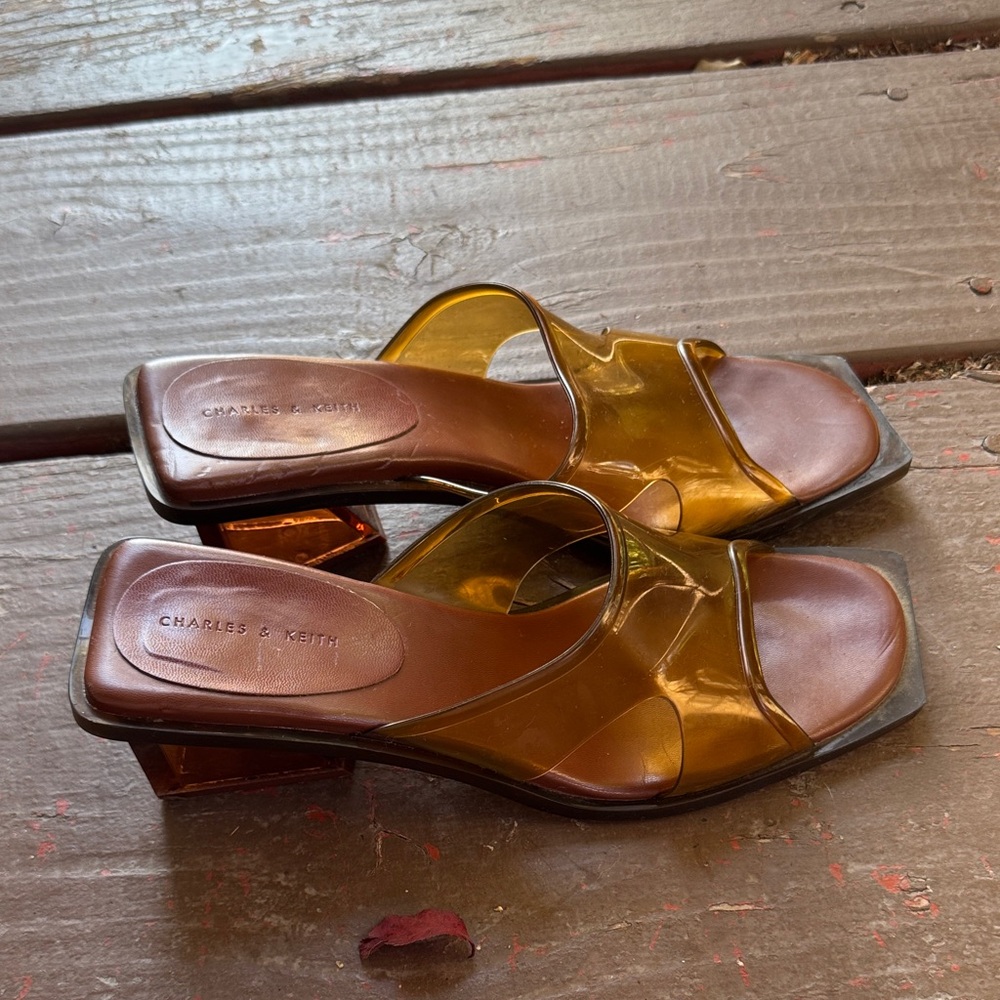 Charles & Keith Tan and Gold Mules